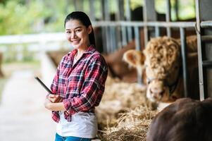 porträtt av Lycklig ung asiatisk jordbrukare kvinna korsning ärm och ser på kamera på mejeri ko odla. lantbruk industri, jordbruk, människor, teknologi och djur- hushållning begrepp. foto