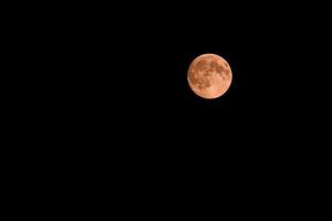full måne, måne röd foto