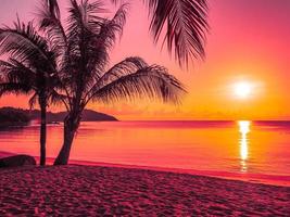 vacker tropisk strand vid soluppgång foto