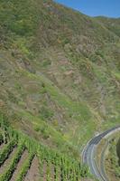 calmont, brantast vingård i europa, mosel flod, mosel dalen, Tyskland foto