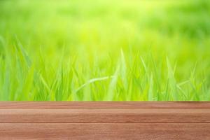 trä bordsskiva med suddig grönska bakgrund för visning foto