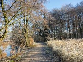 gemen slott i Westfalen foto