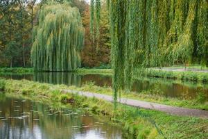 raesfeld slott i Westfalen foto