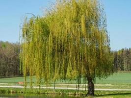 Raesfeld, slott i Tyskland foto