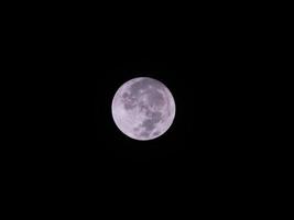 en fullmåne på klar mörk himmel foto