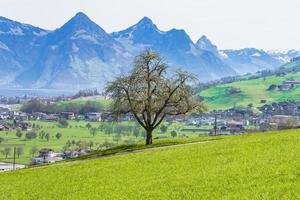 utsikt över staden stans i schweiz foto