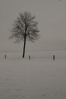 på de slott av raesfeld i Tyskland foto