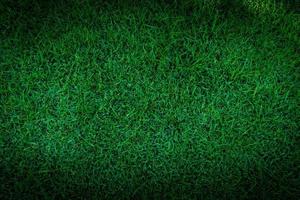 fotboll fält grön gräs mönster textur bakgrund, konsistens gräs för bakgrund foto