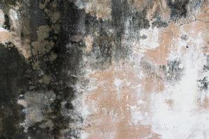 väggar täckt med damm och mögel, betong gammal bakgrund foto