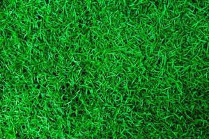 naturlig grön gräs textur. perfekt golf eller fotboll fält bakgrund. topp se foto