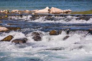 naturskön kust se foto