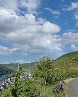 vin by av ediger-eller,mosel flod, mosel dalen, Tyskland foto