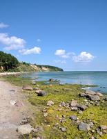 kust landskap i goehren,ruegen,baltic havet, Mecklenburg-Vorpommern, Tyskland foto