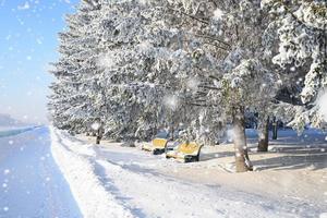 vinter- väg, jul träd i de snö. en Spår i en vinter- snö scen. snöig, kväll. foto