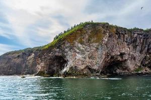 bonaventure ö nationell parkera foto