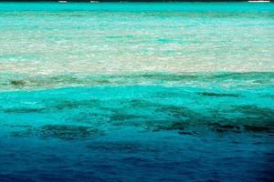 maldiverna tropisk paradis strand landskap foto