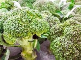 närbild färsk broccoli i full skärm bakgrund och tapet. foto