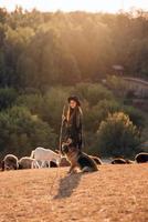 kvinna herde med en hund betar en flock på de gräsmatta foto