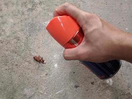 skadedjur kontrollera. använder sig av hushåll insekticid till döda kackerlackor foto