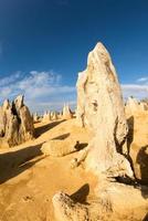 toppar parkera i väst Australien foto