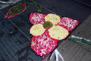 kronblad och blomma matta för corpus domini christi firande foto