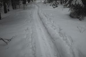 spår i skogen. åka skidor springa i vinter. gångstig i snö. foto