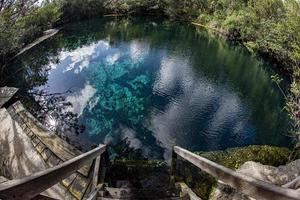 grotta dykning i mexikansk cenoter foto
