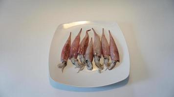 bläckfisk skaldjur på tallrik på vit. foto
