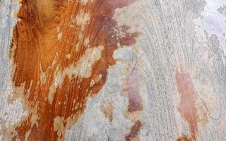 gammal trä hud trä textur och trä naturlig trä bakgrund naturlig. bakgrund från levande trä. de hud av de skog natur. textur mönster är bildas förbi de grov bark av enorm träd. foto