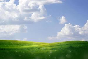grönt gräs och blå himmel foto