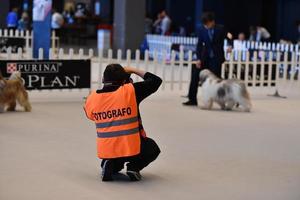 genua, Italien - Maj 21 2016 - årlig offentlig internationell hund visa foto