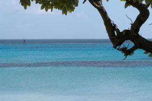 polynesien paradis kristall vatten affisch foto