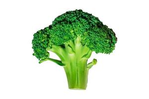 3189 färsk broccoli isolerat på en transparent bakgrund foto
