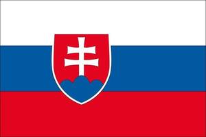 flagga av slovakien. de nationell symbol av de Land. huvudstad bratislava. foto