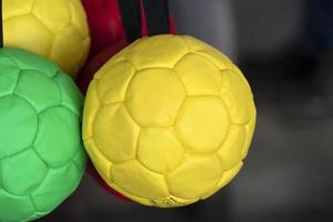 många färger fotboll bollar hund leksak foto