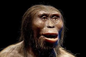 lucy neanderthal cro-magnon kvinna isolerat på svart foto