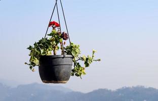 tidigt morgon- se av modern taket restaurang på kasauli, himachal pradesh i Indien, se av berg kullar från öppen luft restaurang i kasauli, kasauli taket restaurang foto