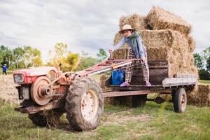 ung Söt jordbrukare kvinna körning traktor foto