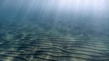 sand botten under vattnet simning i turkos lagun foto