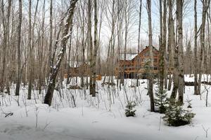 vinter- stugor i avlägsen område quebec, Kanada, logga hus med bastu, spa, sovrum, slå samman, levande rum, messanine, kök och badrum foto