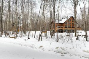 vinter- stugor i avlägsen område quebec, Kanada, logga hus med bastu, spa, sovrum, slå samman, levande rum, messanine, kök och badrum foto