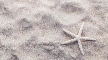 sjöstjärna i sand foto