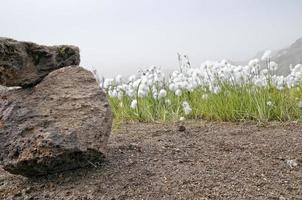 island landmannalaugar - pormsmork vandring foto