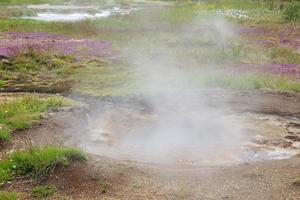 island geysir i fält med blommor foto