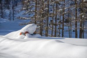 snöskoter täckt förbi snö foto