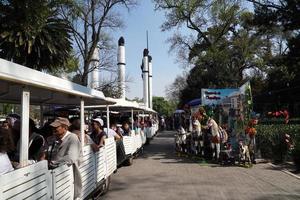 mexico stad, februari 3 2019 - stad parkera chapultepec fullt med folk av människor på söndag foto