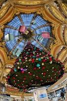 stor jul xmas träd enorm tidskrift la fayette paris interiör guld lampor foto