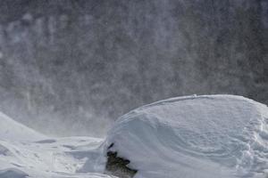 berg landskap medan snöar i vinter- tid foto