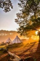 tält camping i de morgon- . på sväng salaeng luang nationell parkera Phetchabun provins, thailand foto