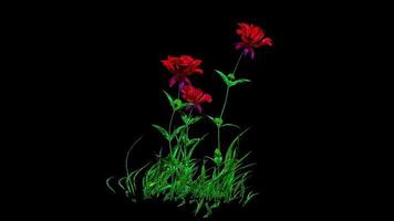 röd blommor botanisk digital tolkning foto